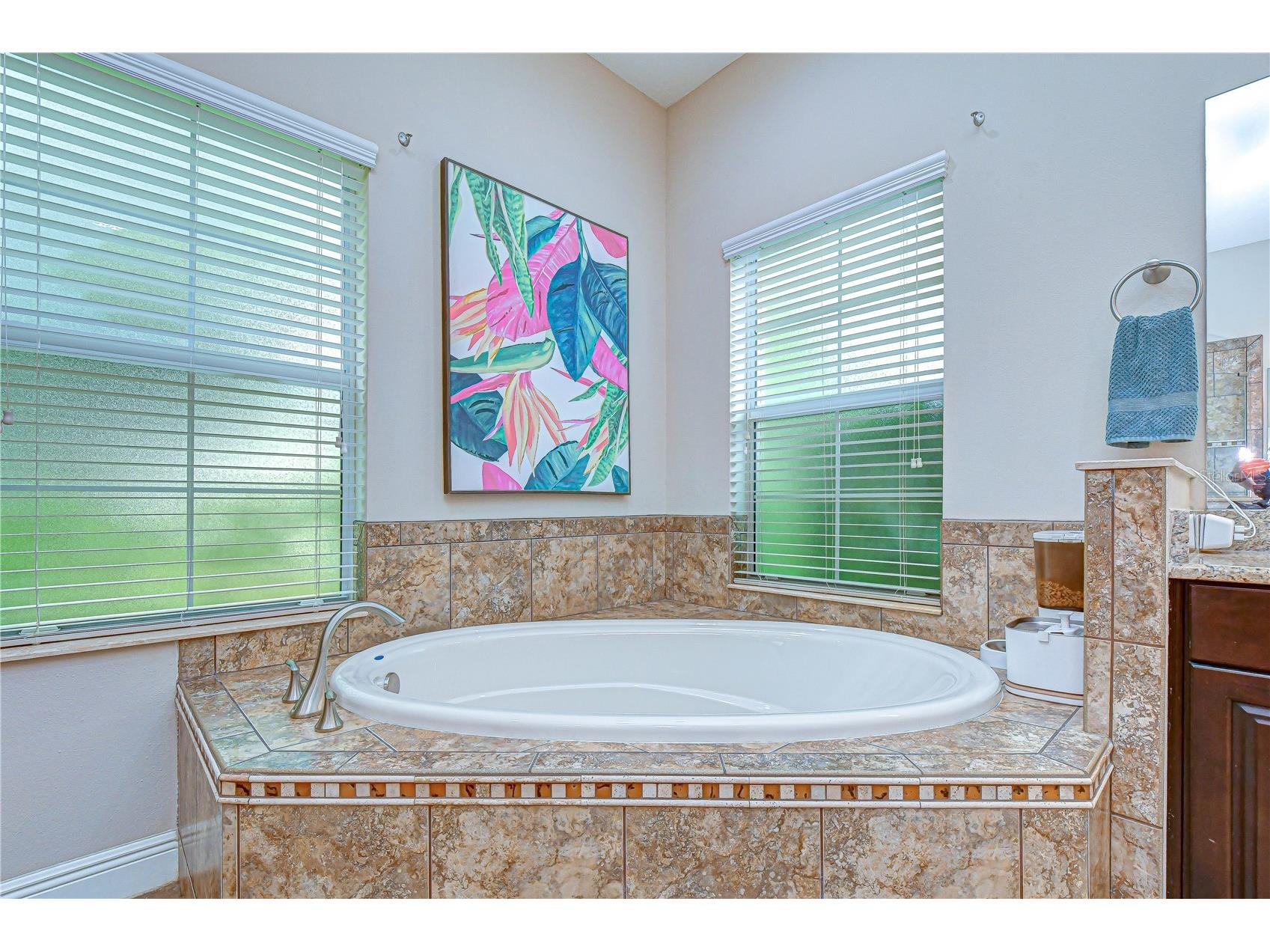 5907 Churchside Drive Lithia FL 33547 TB8508195 image25