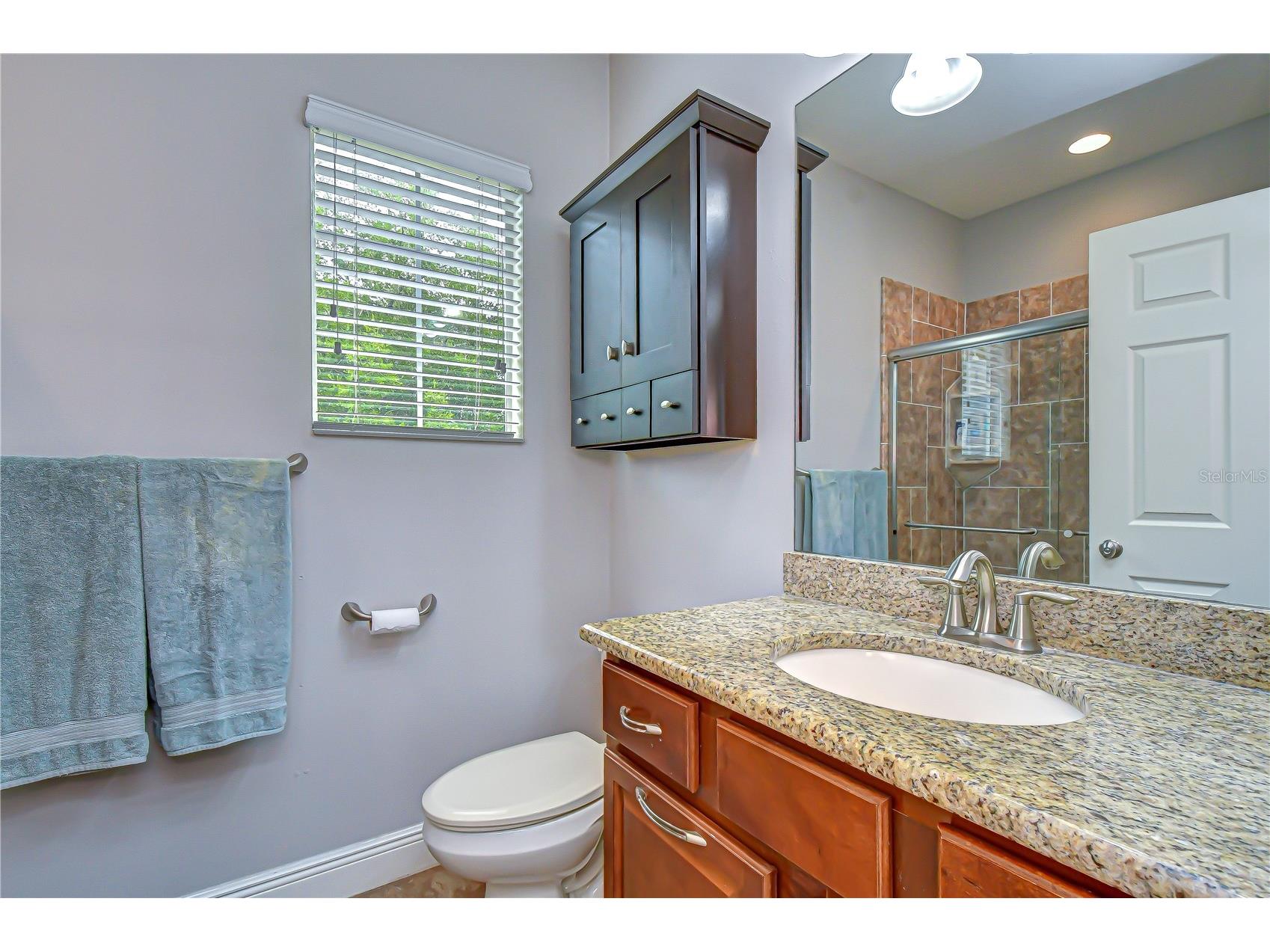 5907 Churchside Drive Lithia FL 33547 TB8508195 image31