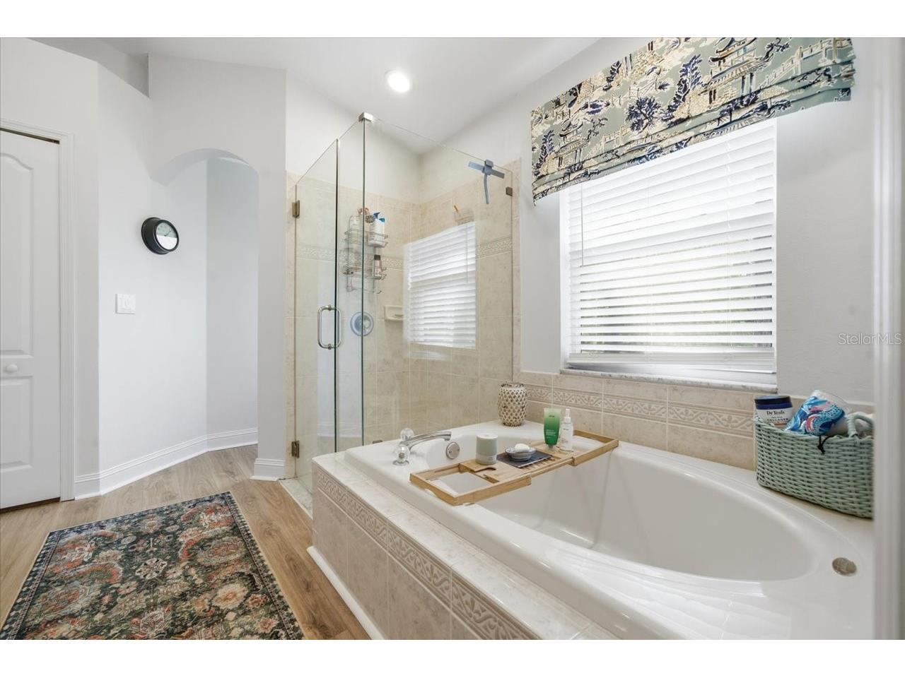 5907 Lourdes Way Lutz FL 33558 TB8509585 image27
