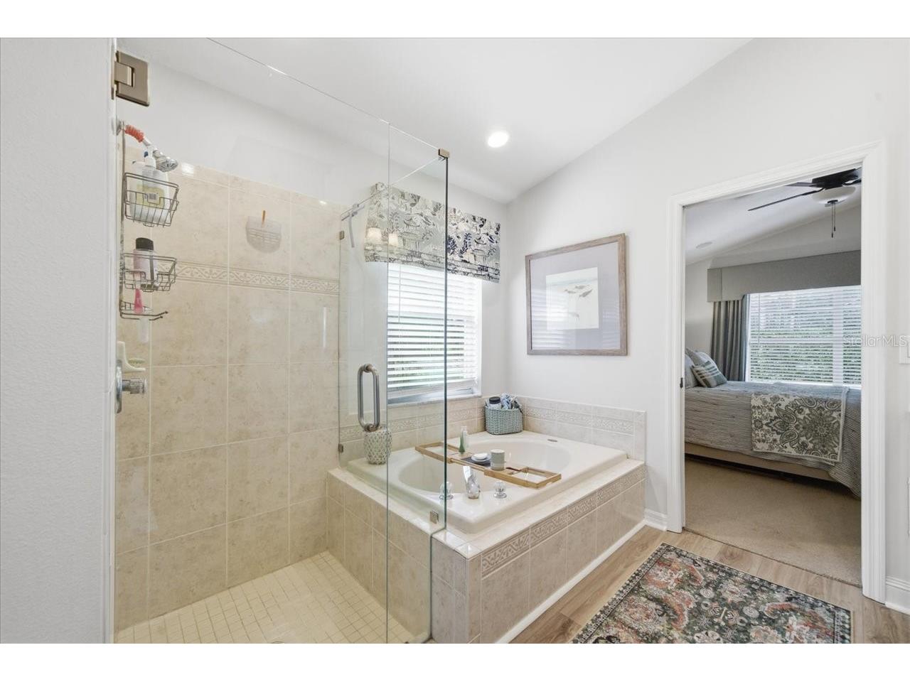 5907 Lourdes Way Lutz FL 33558 TB8509585 image28