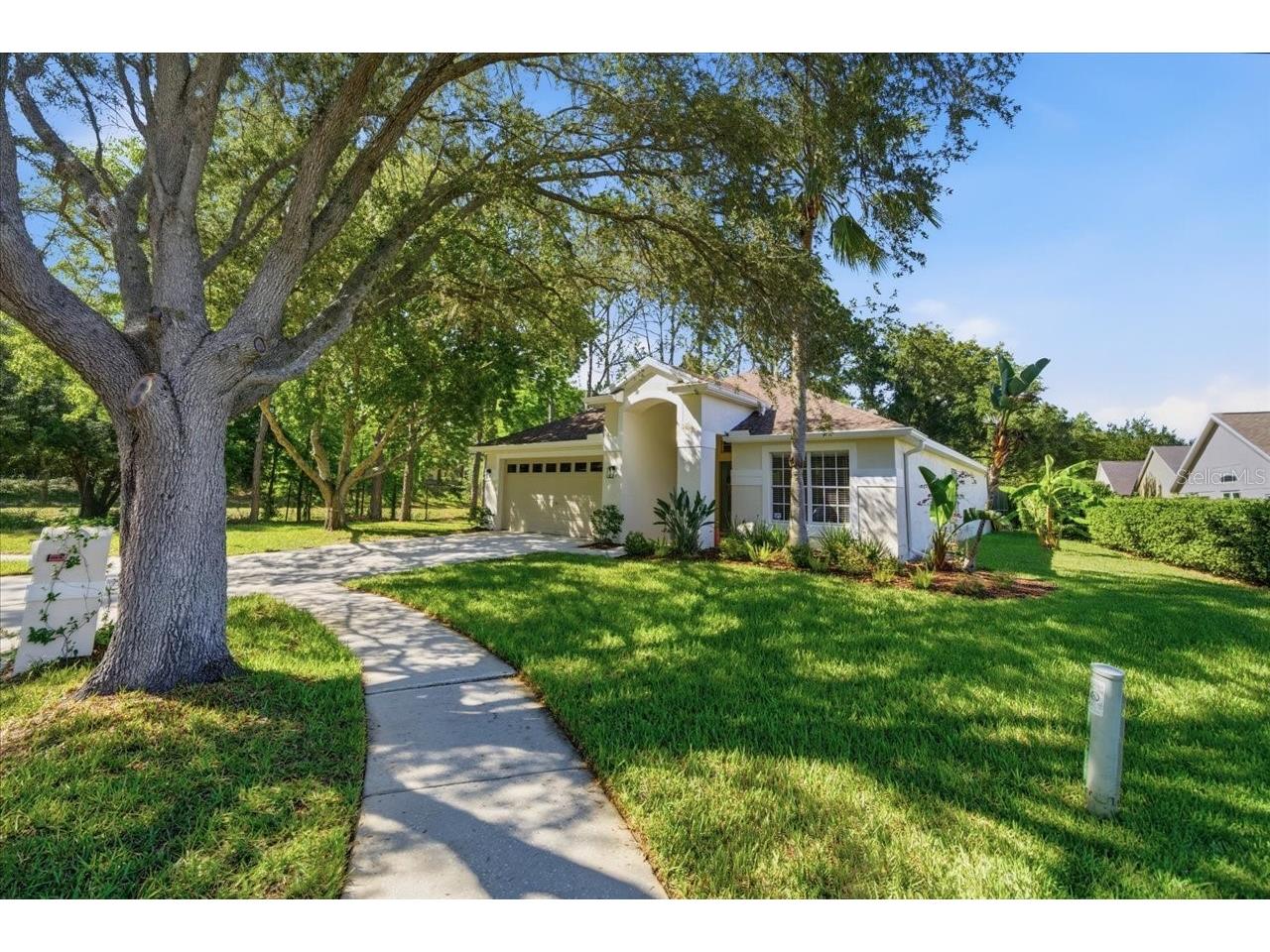 5907 Lourdes Way Lutz FL 33558 TB8509585 image4