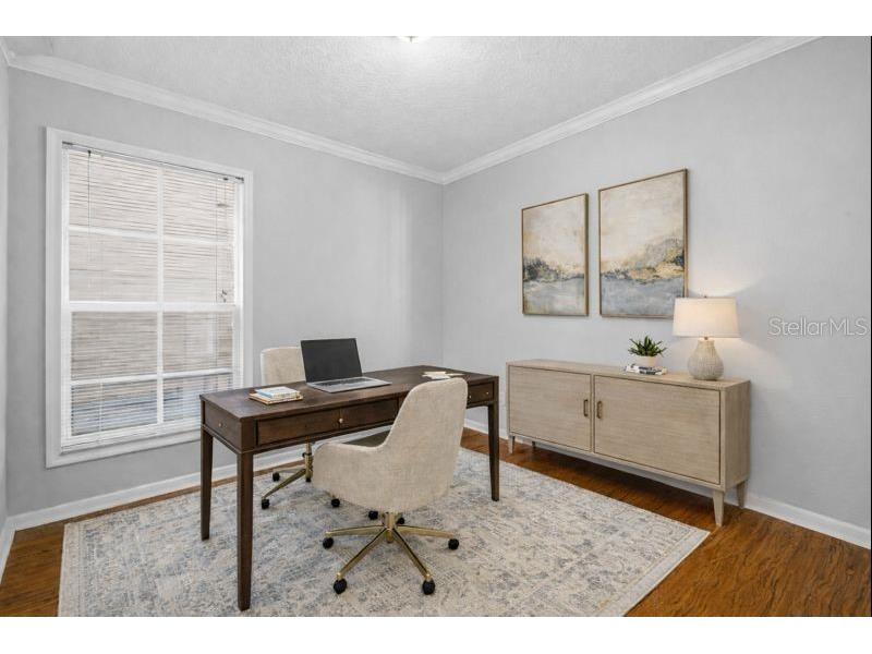 5908 Beaconpark Street Lithia FL 33547 TB8469362 image20