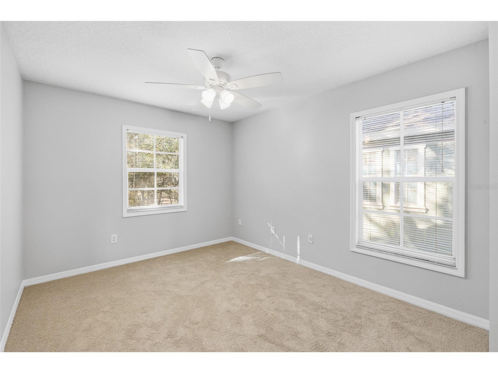 5908 Beaconpark Street Lithia FL 33547 TB8469362 image35