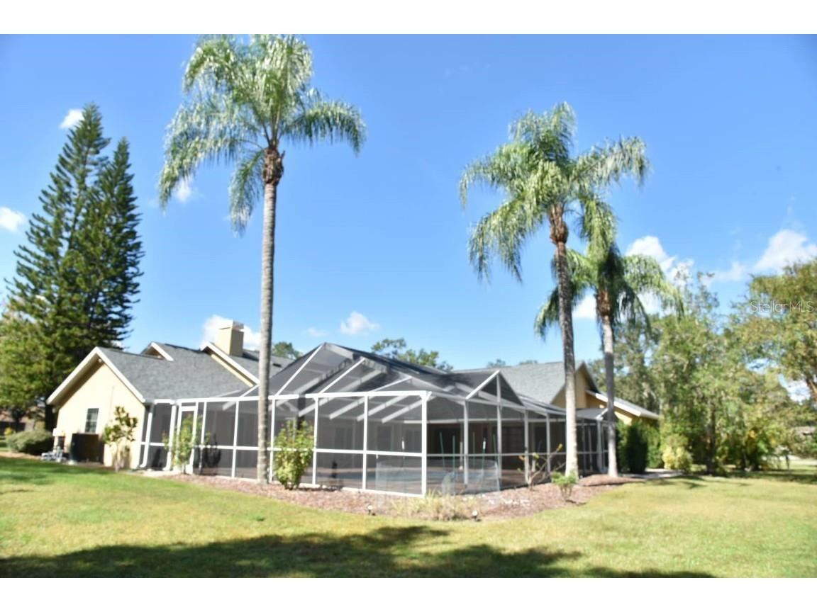 5908 Hammock Woods Drive Odessa FL 33556 T3417415 image1
