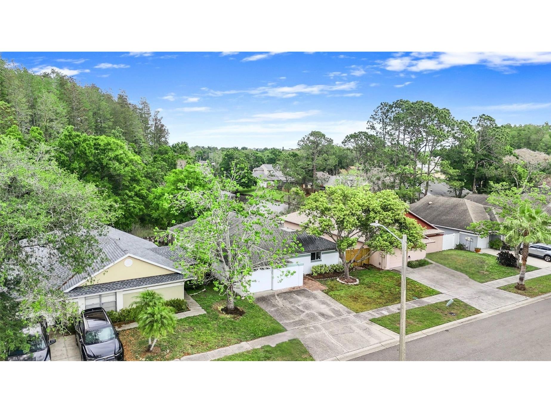 5909 Bitterwood Court Tampa FL 33625 TB8494763 image34
