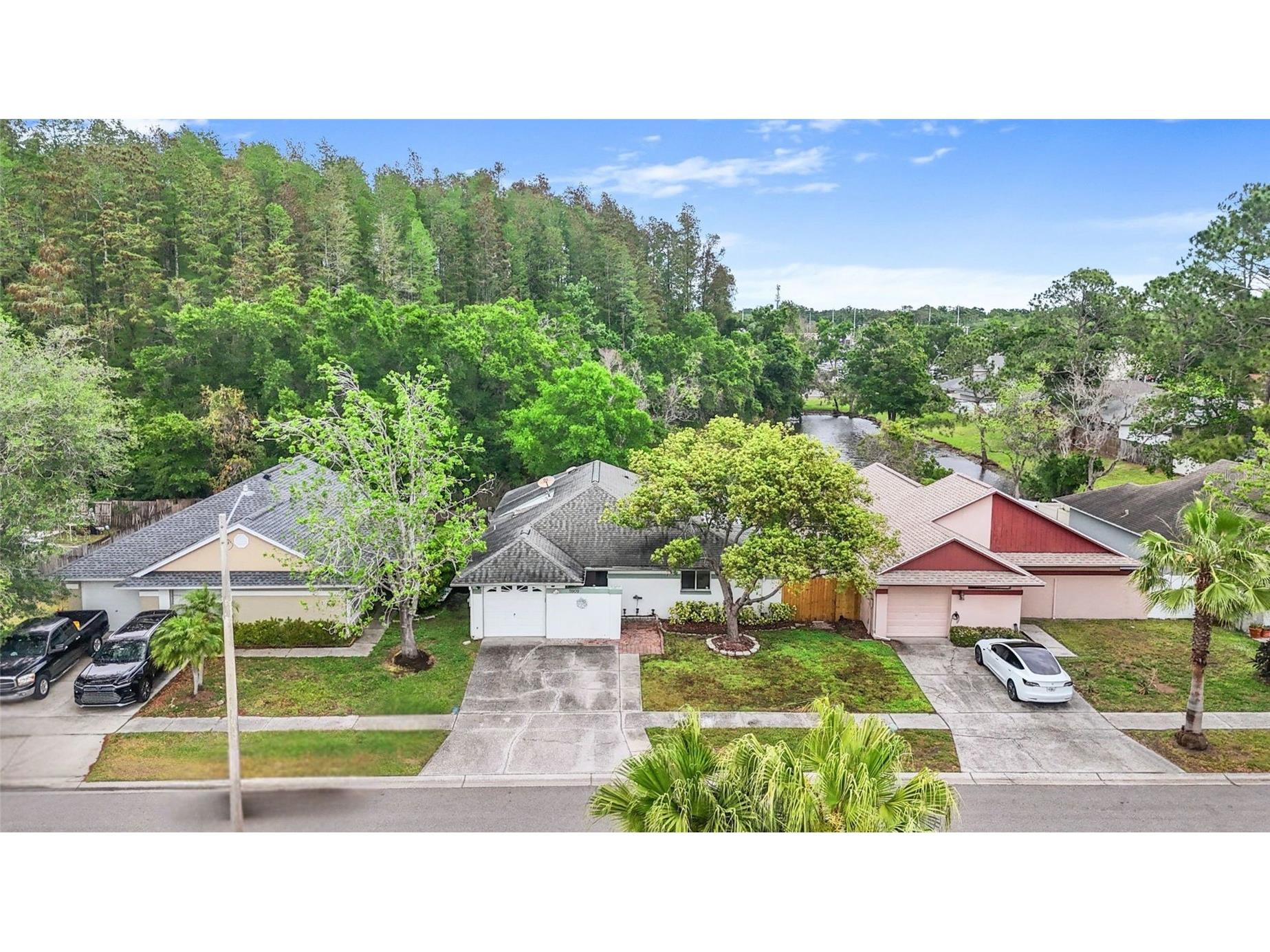 5909 Bitterwood Court Tampa FL 33625 TB8494763 image35