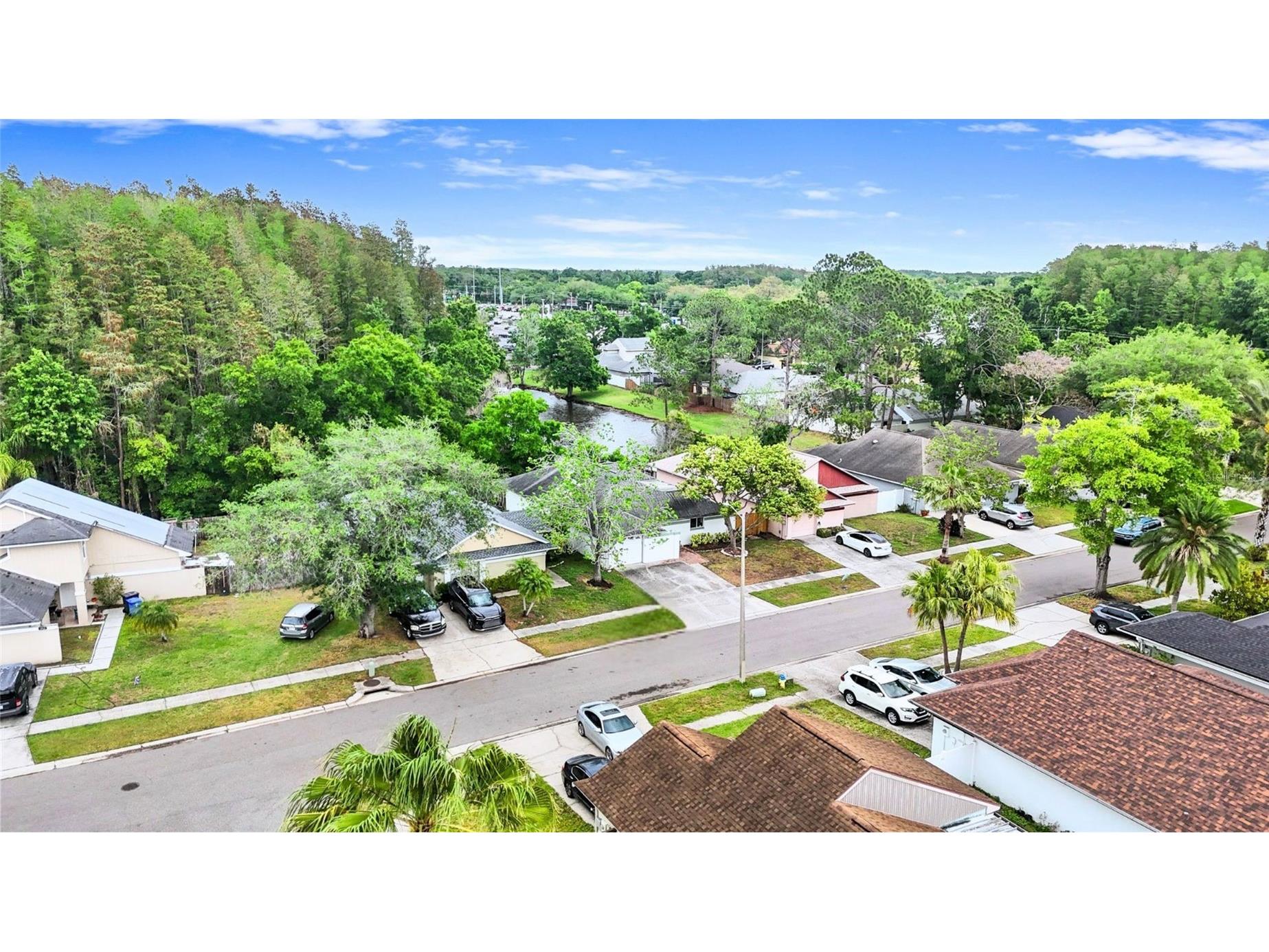 5909 Bitterwood Court Tampa FL 33625 TB8494763 image36