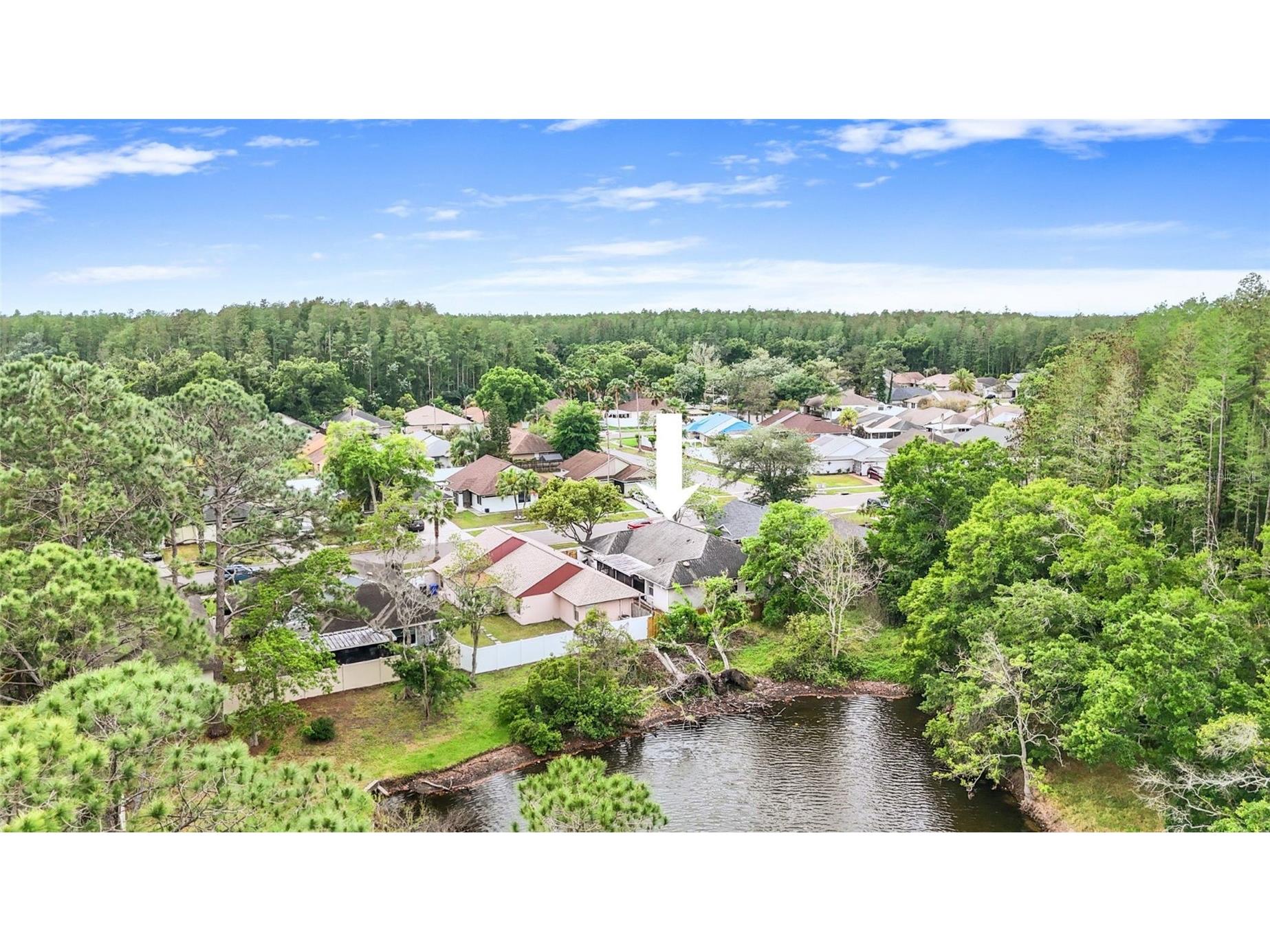 5909 Bitterwood Court Tampa FL 33625 TB8494763 image37