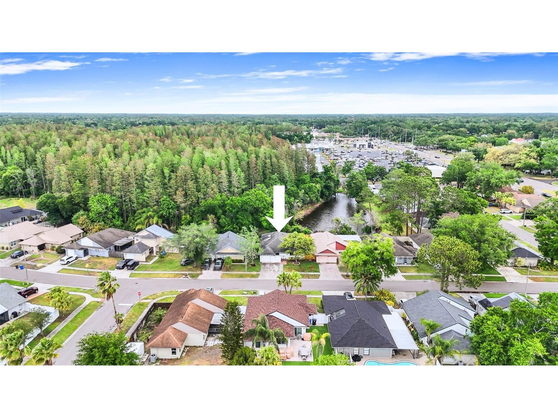 5909 Bitterwood Court Tampa FL 33625 TB8494763 image38