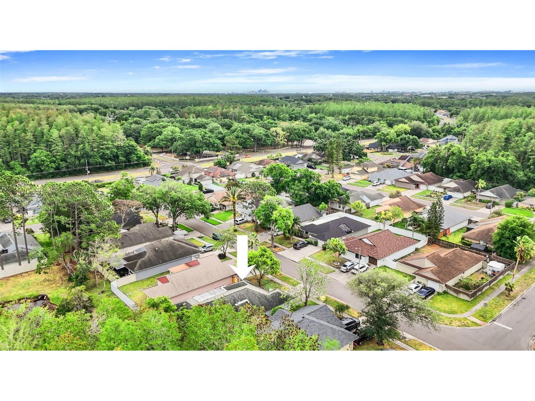 5909 Bitterwood Court Tampa FL 33625 TB8494763 image39