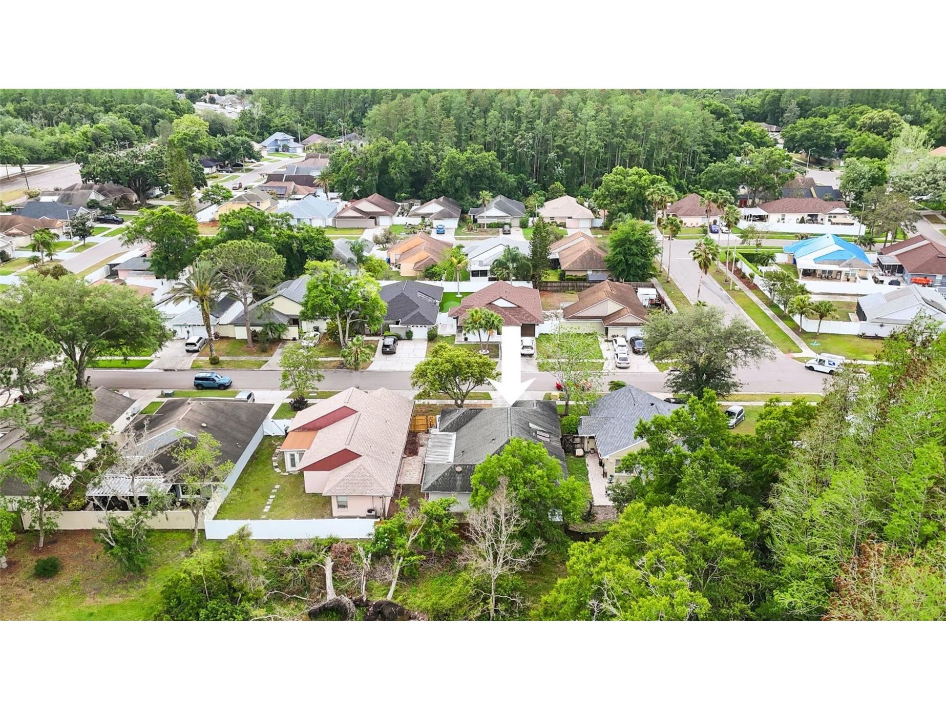 5909 Bitterwood Court Tampa FL 33625 TB8494763 image40