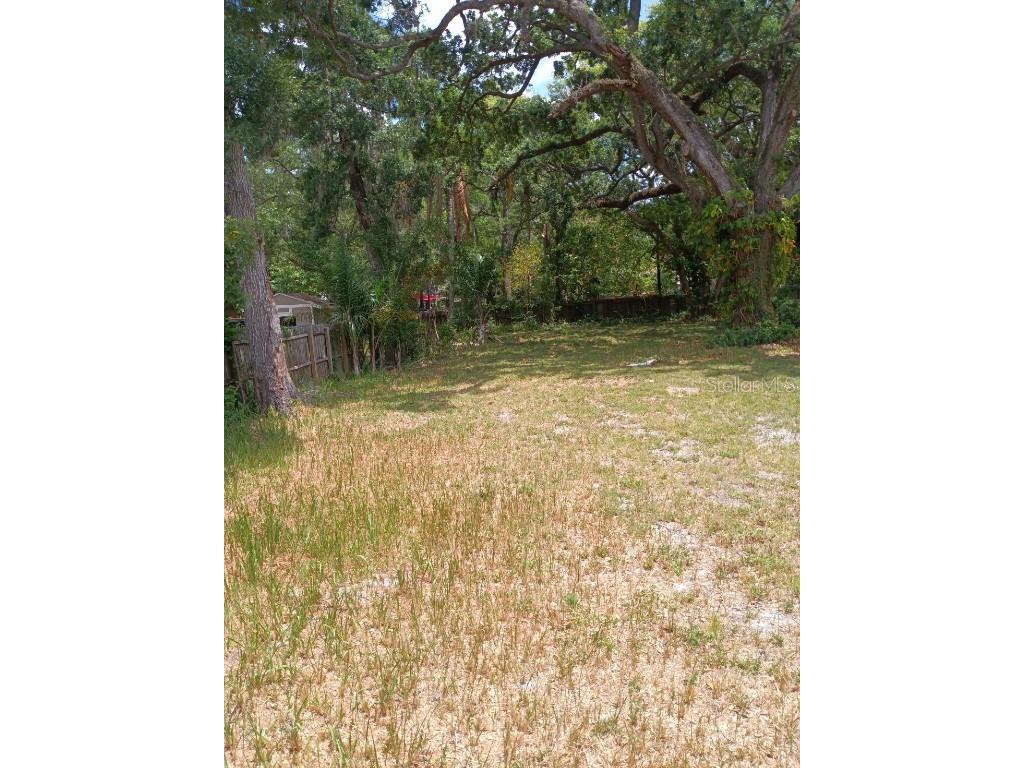 5909 N Eustace Avenue Tampa FL 33604 T3524031 image1