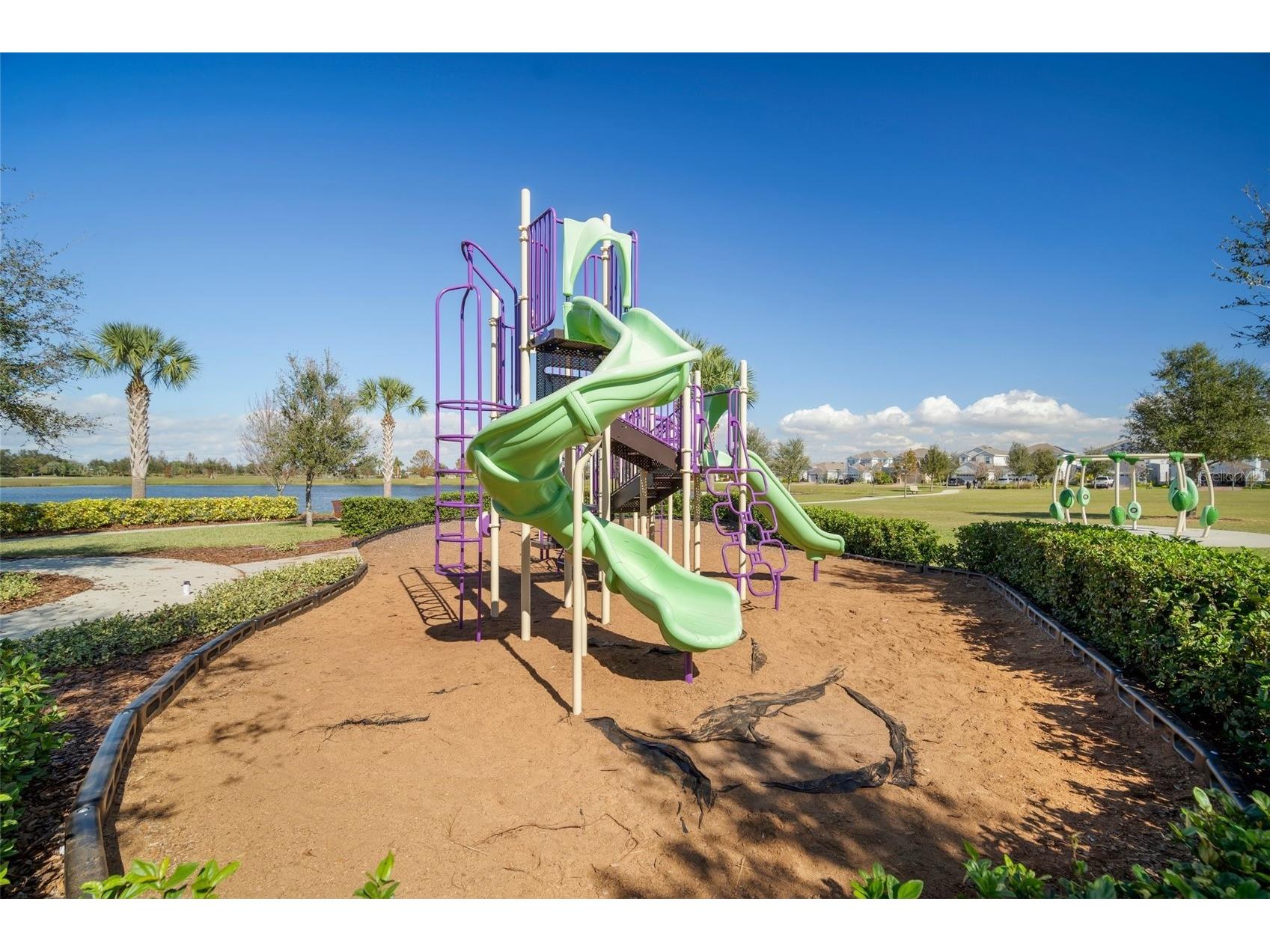 5909 Silver Sun Drive Apollo Beach FL 33572 TB8480431 image60