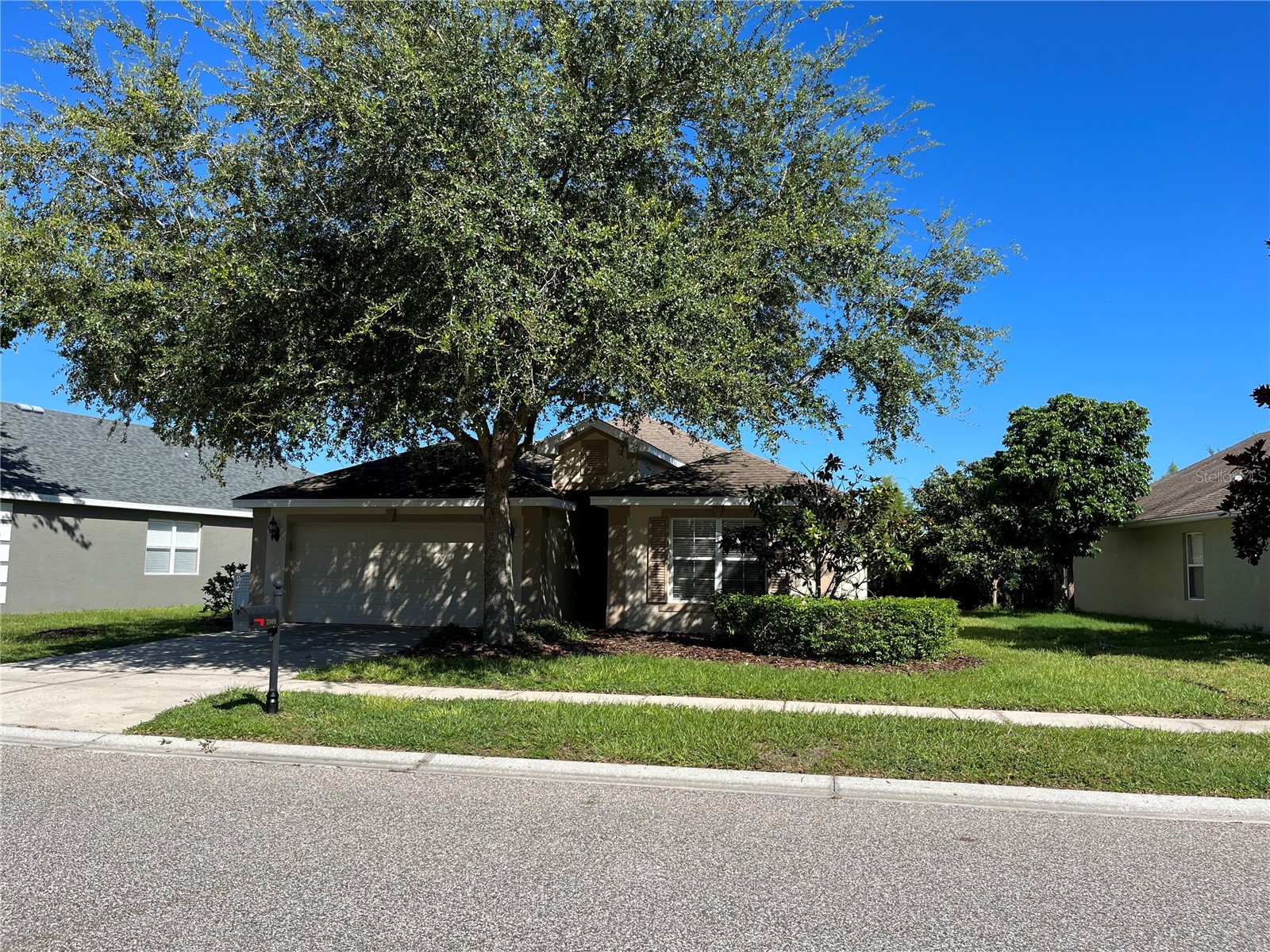 5909 Sweet William Terrace Land O Lakes FL 34639 TB8525582 image1