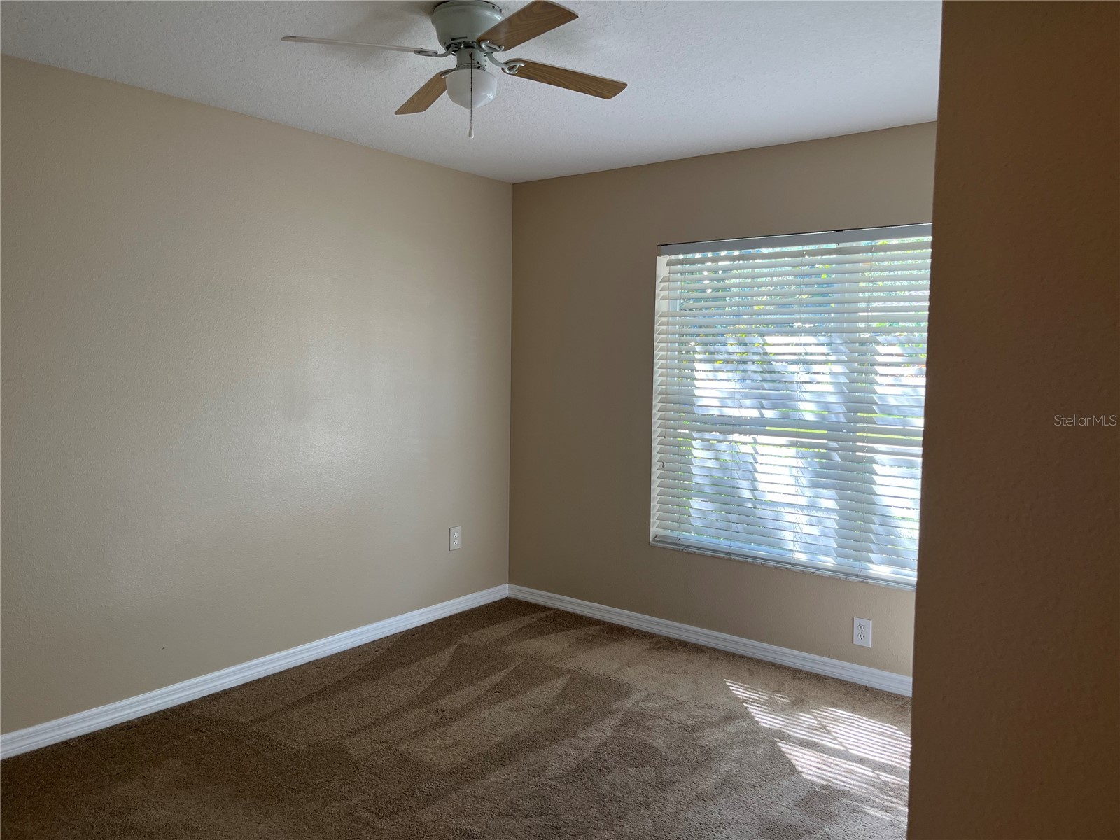 5909 Sweet William Terrace Land O Lakes FL 34639 TB8525582 image10