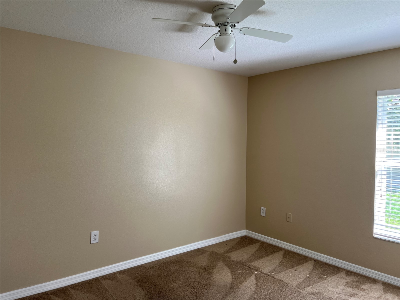 5909 Sweet William Terrace Land O Lakes FL 34639 TB8525582 image12