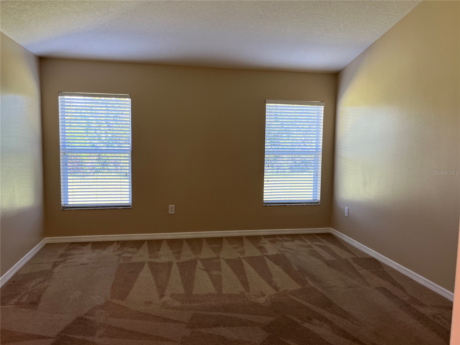 5909 Sweet William Terrace Land O Lakes FL 34639 TB8525582 image13