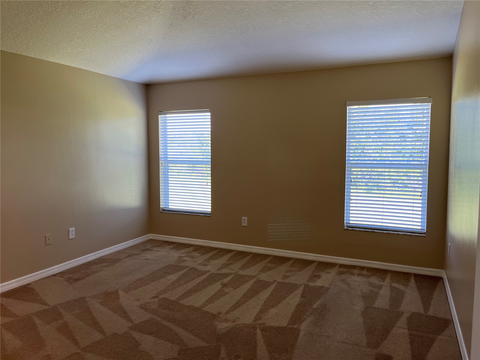 5909 Sweet William Terrace Land O Lakes FL 34639 TB8525582 image14