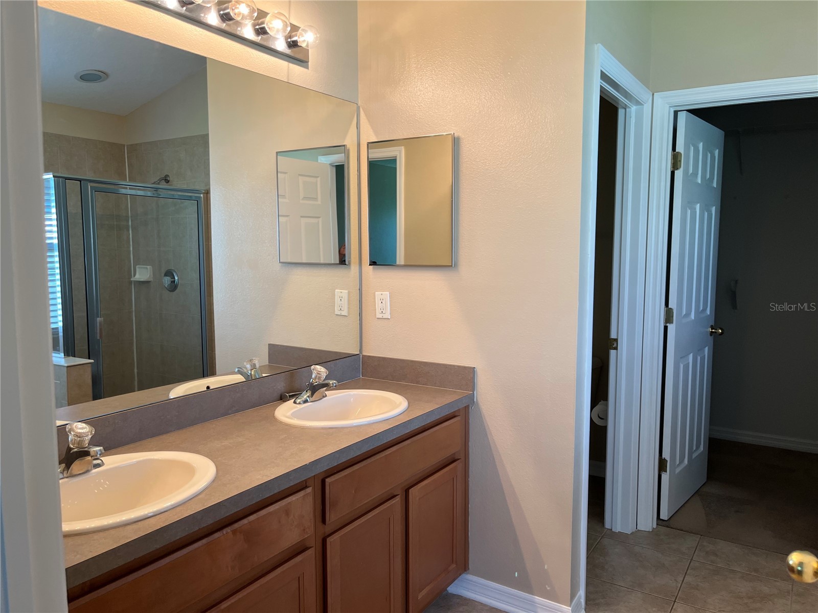 5909 Sweet William Terrace Land O Lakes FL 34639 TB8525582 image15