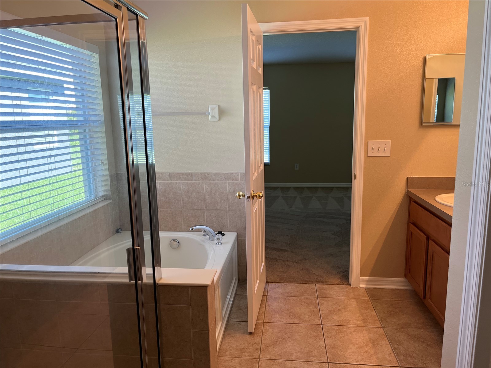 5909 Sweet William Terrace Land O Lakes FL 34639 TB8525582 image16
