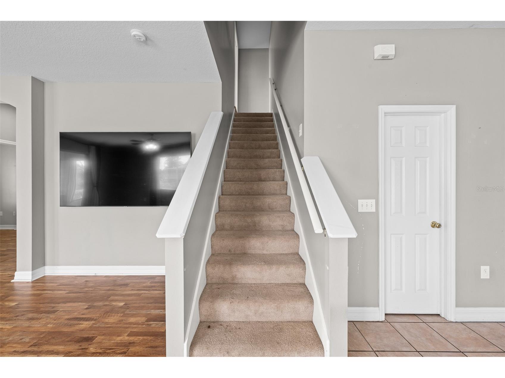 5909 Wedgefield Drive Zephyrhills FL 33541 TB8421048 image19