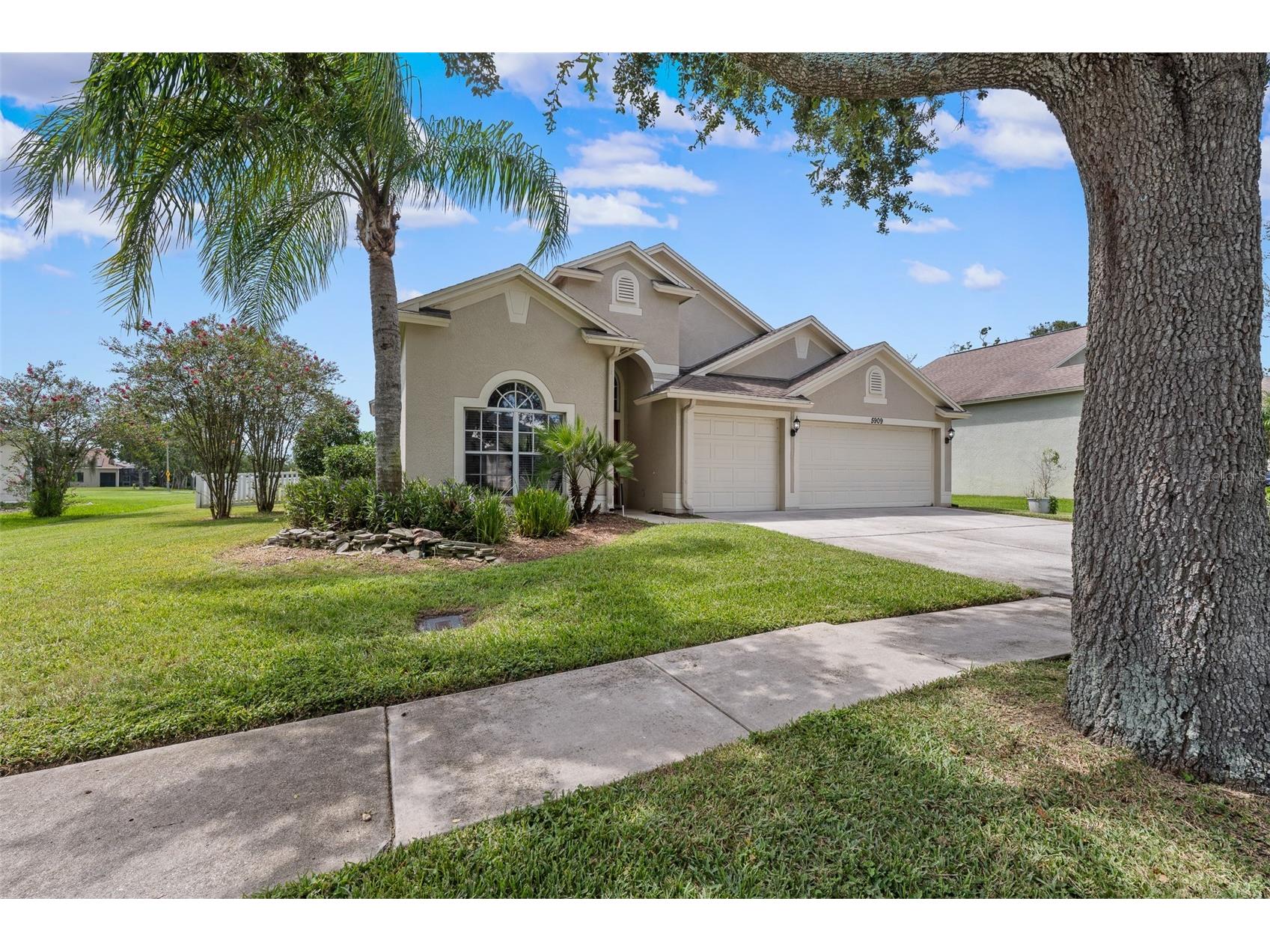 5909 Wedgefield Drive Zephyrhills FL 33541 TB8421048 image35