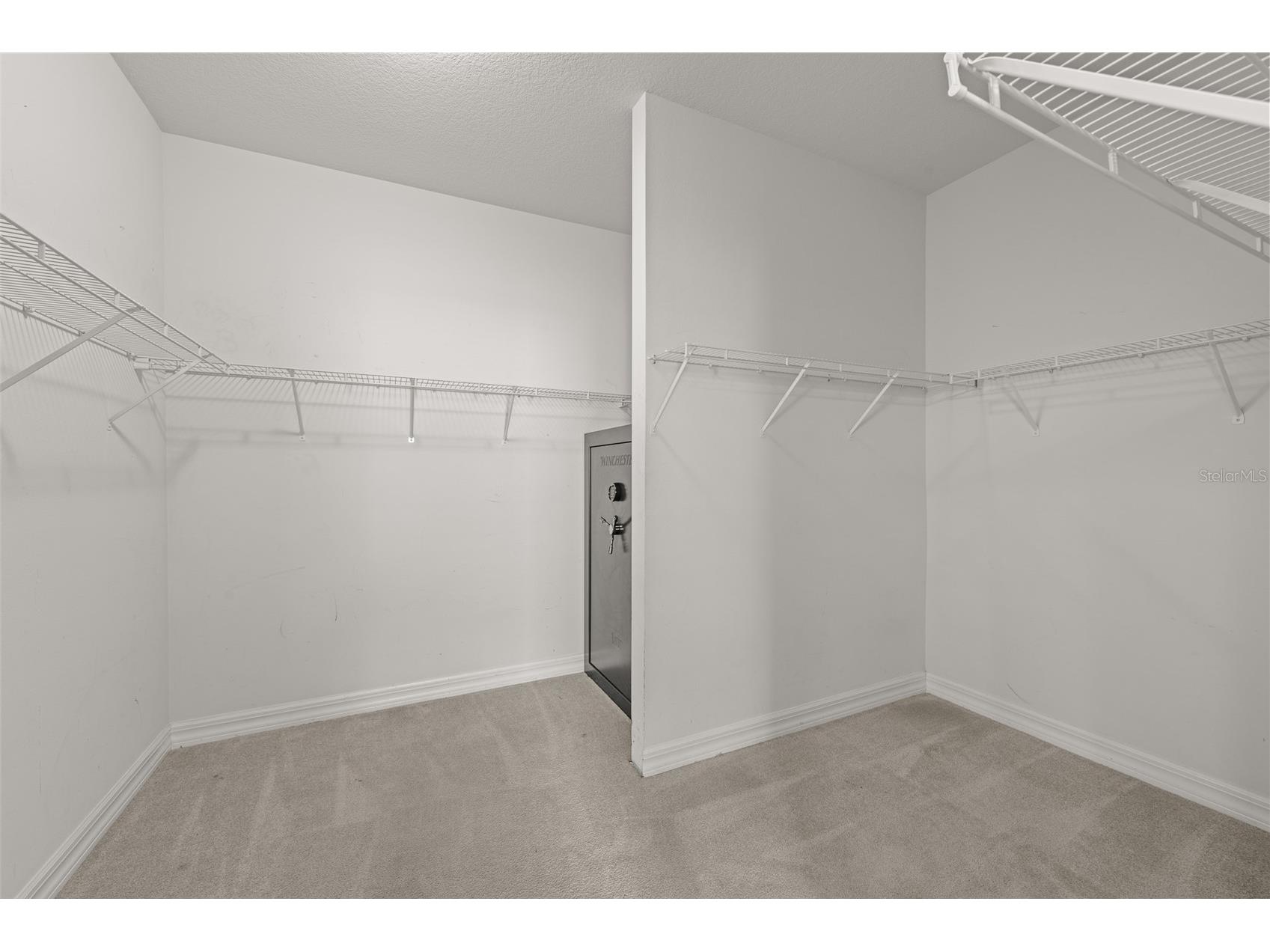 5909 Wedgefield Drive Zephyrhills FL 33541 TB8421048 image43