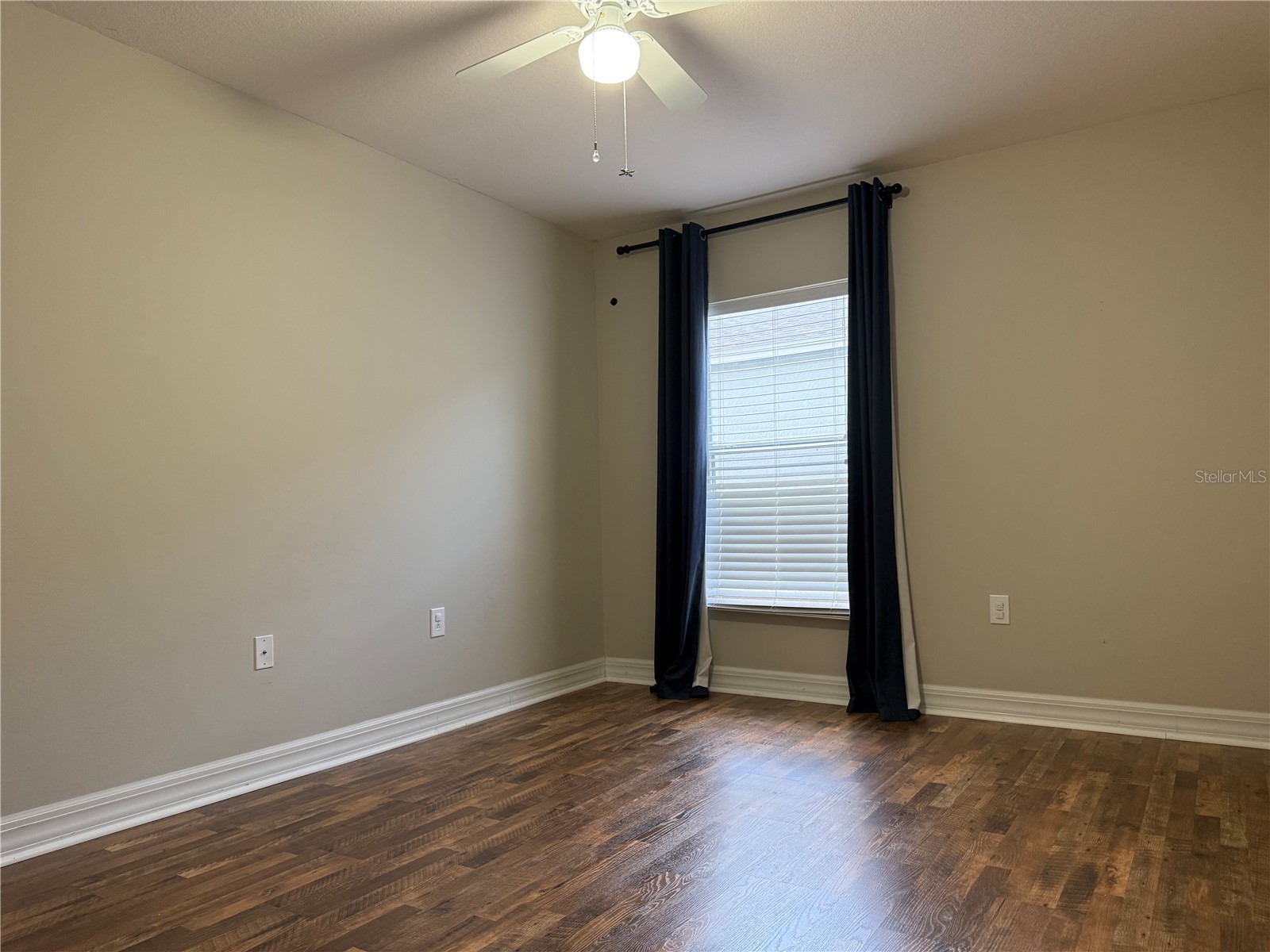 5909 Wedgefield Drive Zephyrhills FL 33541 TB8502206 image20