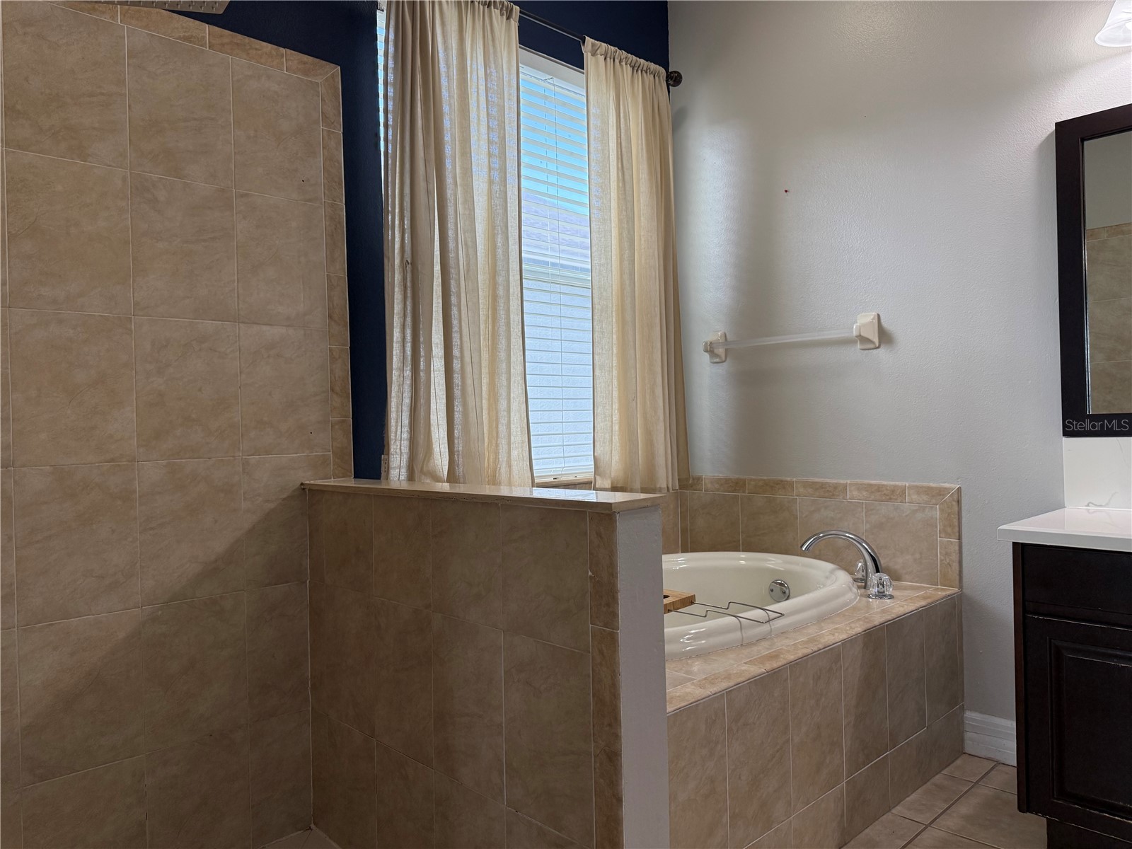 5909 Wedgefield Drive Zephyrhills FL 33541 TB8502206 image25