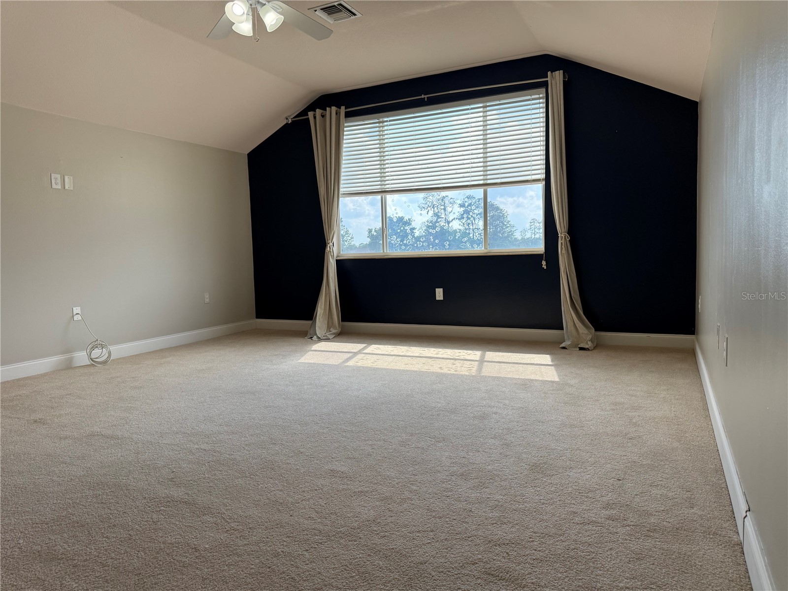 5909 Wedgefield Drive Zephyrhills FL 33541 TB8502206 image27