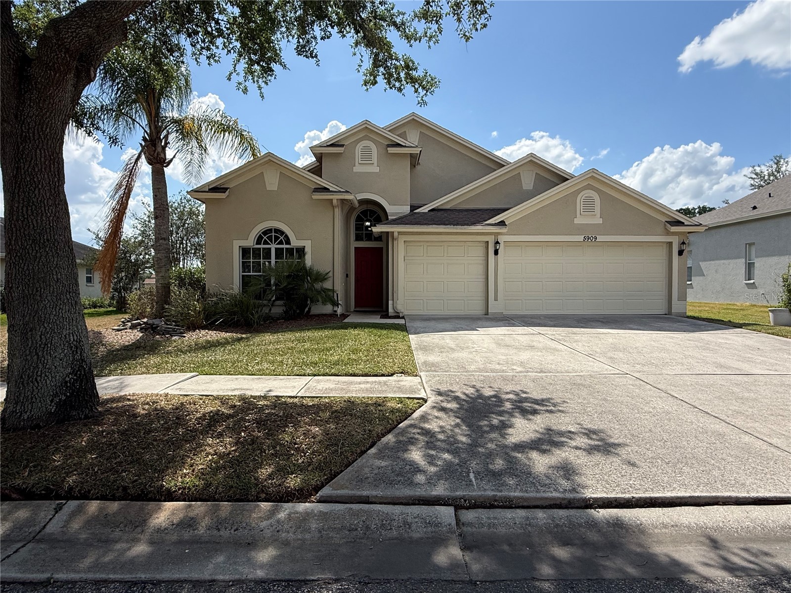 5909 Wedgefield Drive Zephyrhills FL 33541 TB8502206 image5