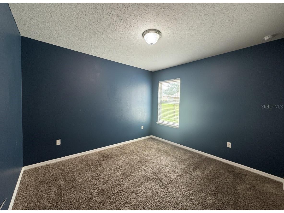 5909 Windsong Oak Drive Leesburg FL 34748 O6411614 image20