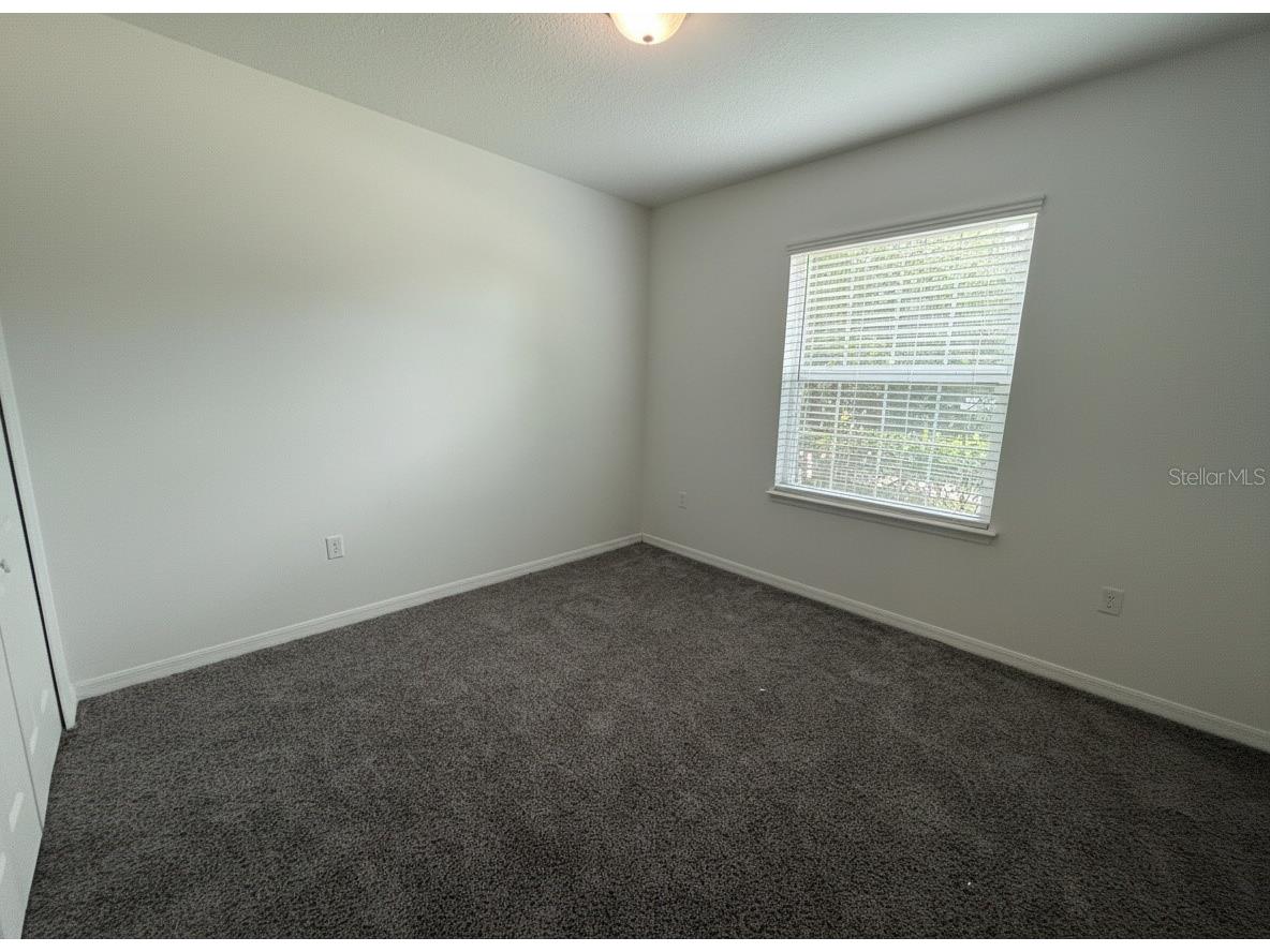5909 Windsong Oak Drive Leesburg FL 34748 O6411614 image25