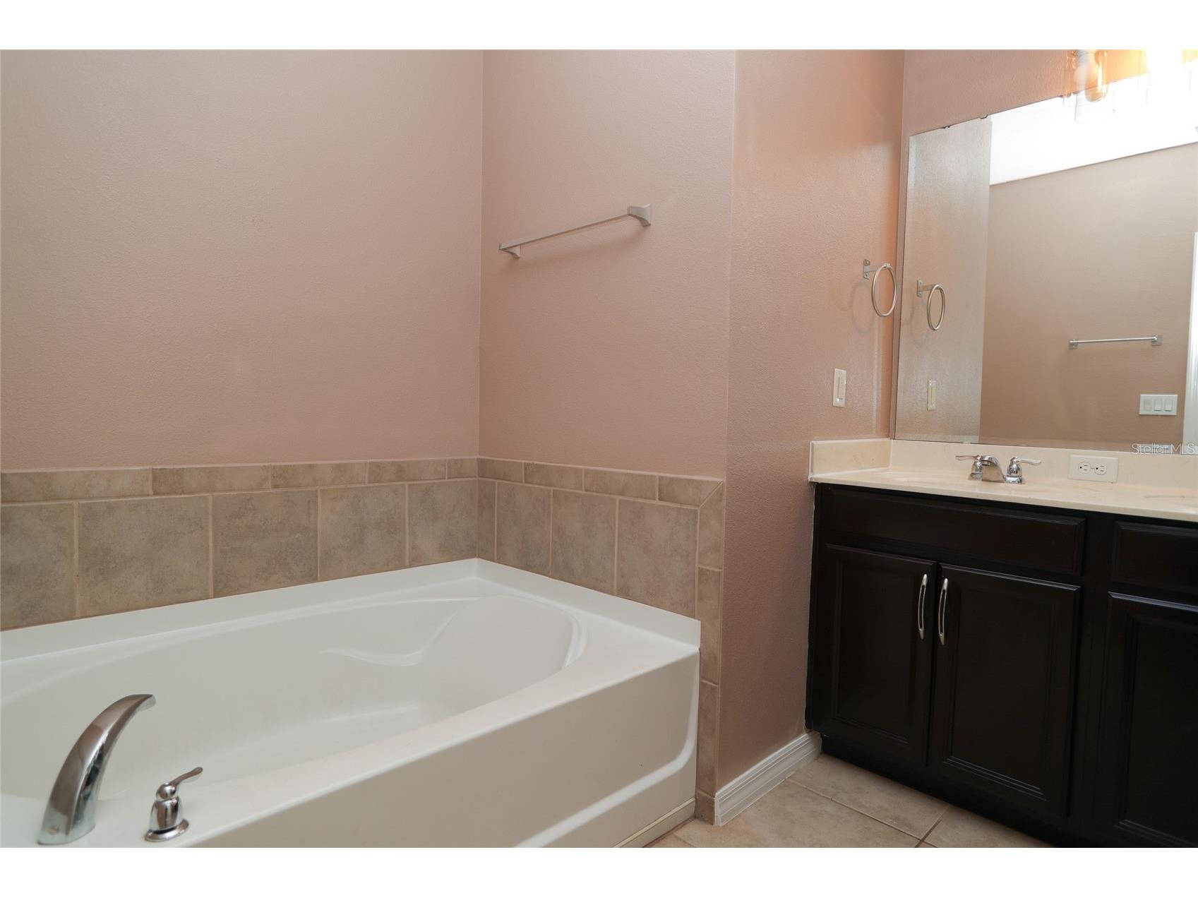 5909 Windsong Oak Drive Leesburg FL 34748 O6411614 image27