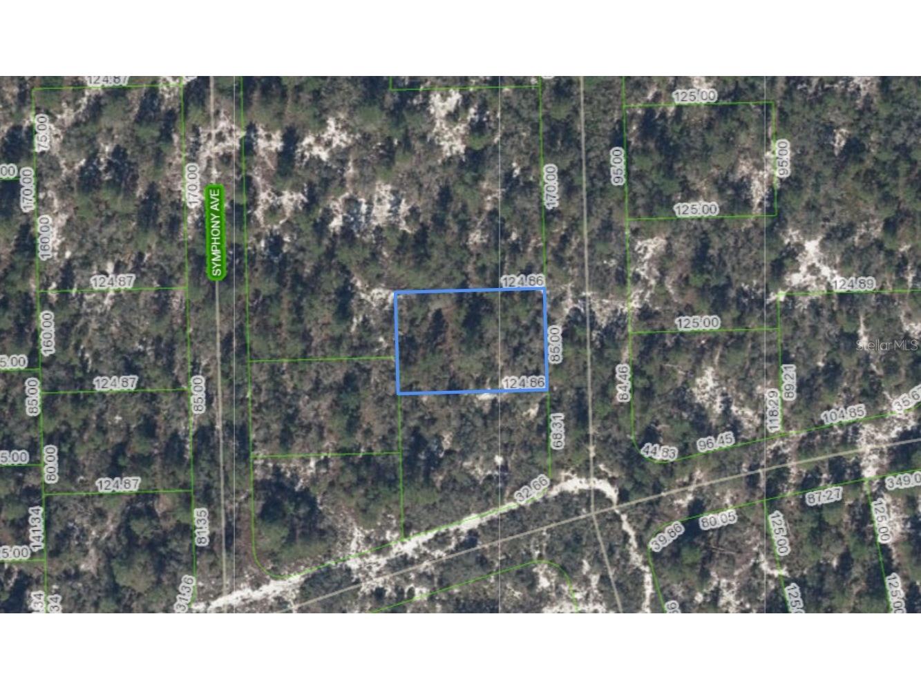 591 Blue Velvet Drive Lake Placid FL 33852 TB8520041 image1