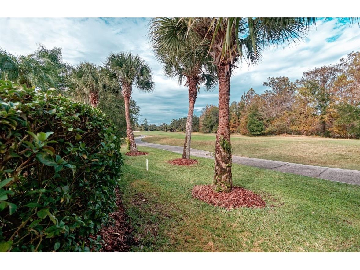 591 Highlands Hammock Drive Kissimmee FL 34759 S5139546 image4