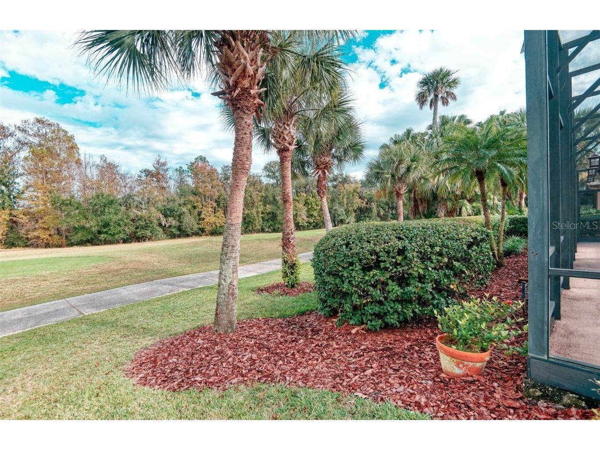 591 Highlands Hammock Drive Kissimmee FL 34759 S5139546 image47