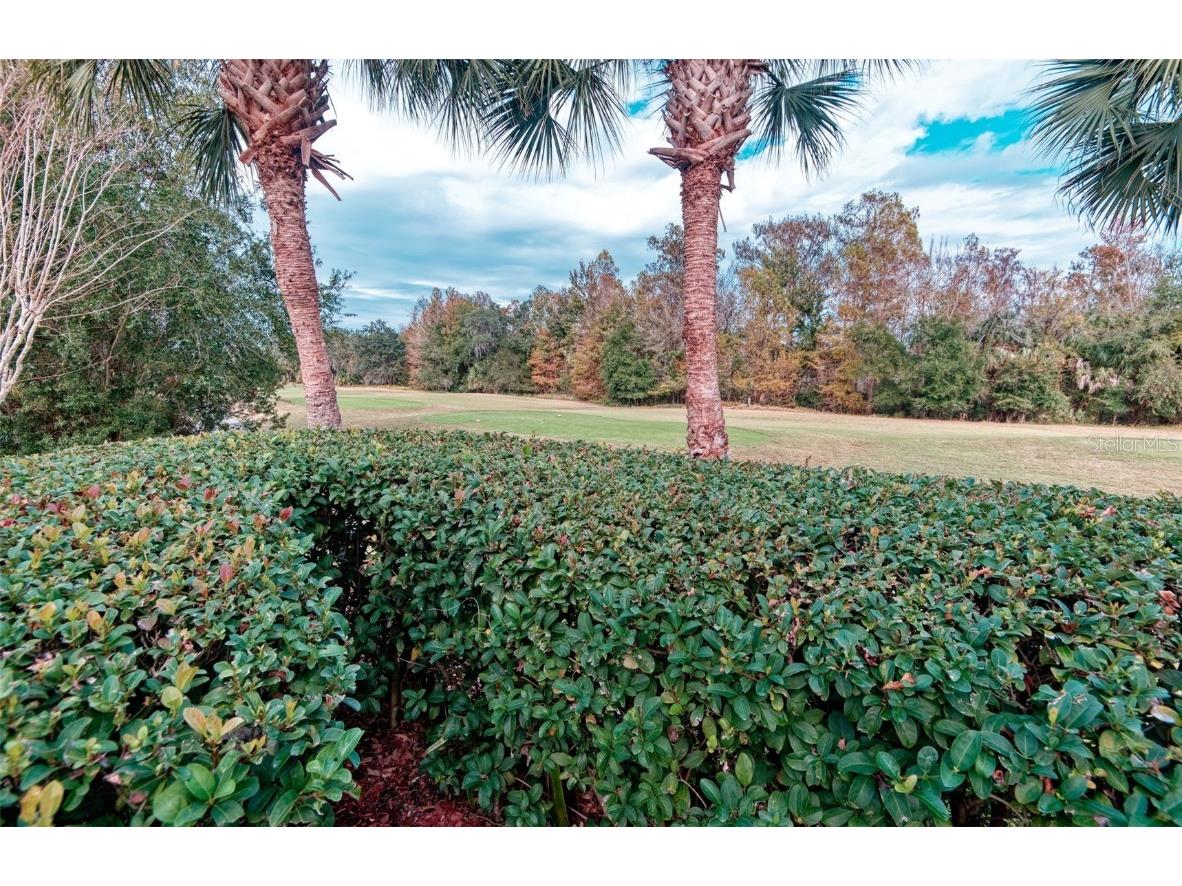 591 Highlands Hammock Drive Kissimmee FL 34759 S5139546 image48