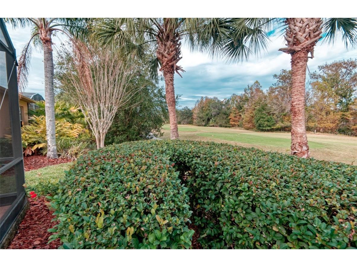 591 Highlands Hammock Drive Kissimmee FL 34759 S5139546 image49