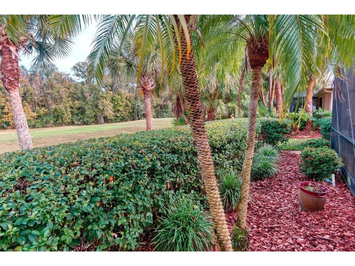 591 Highlands Hammock Drive Kissimmee FL 34759 S5139546 image50