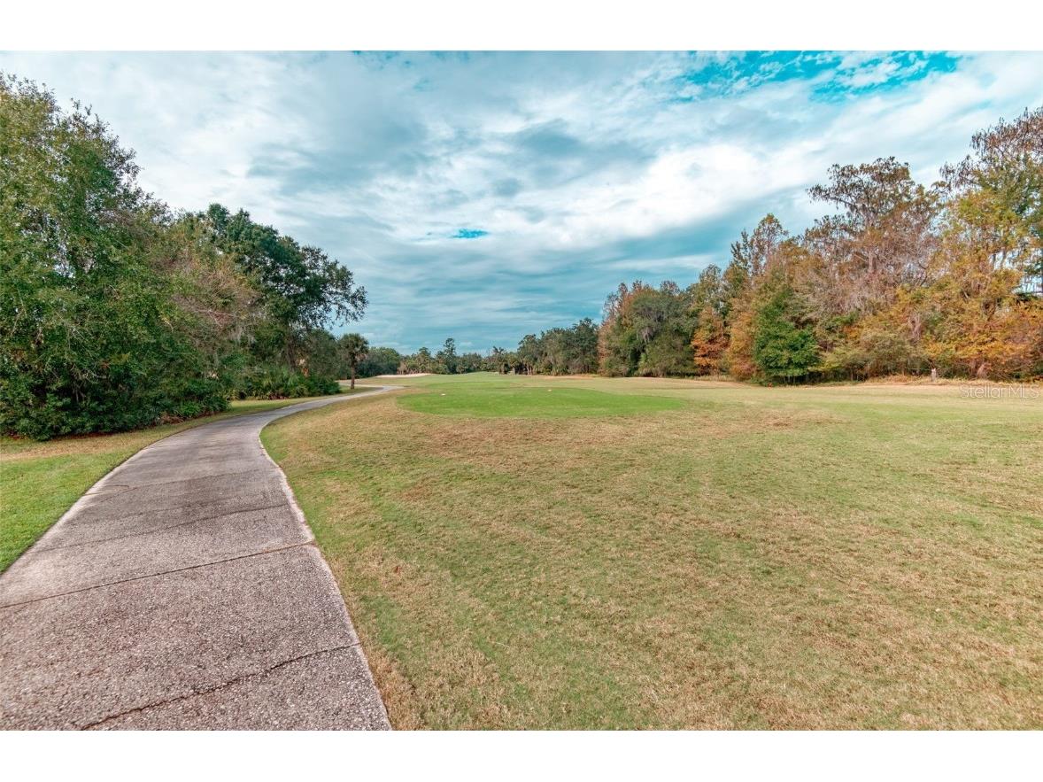 591 Highlands Hammock Drive Kissimmee FL 34759 S5139546 image51