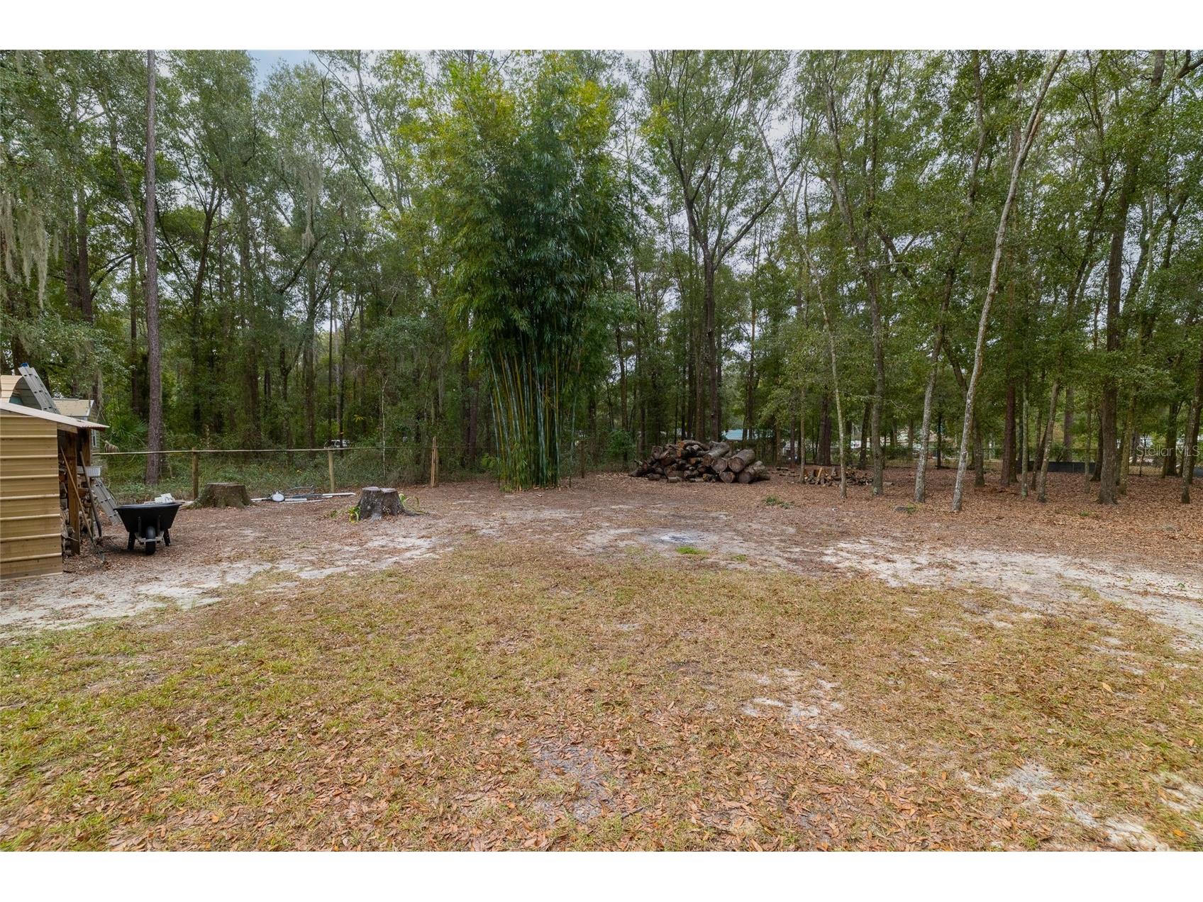 591 Marshburn Drive Bronson FL 32621 OM715647 image63