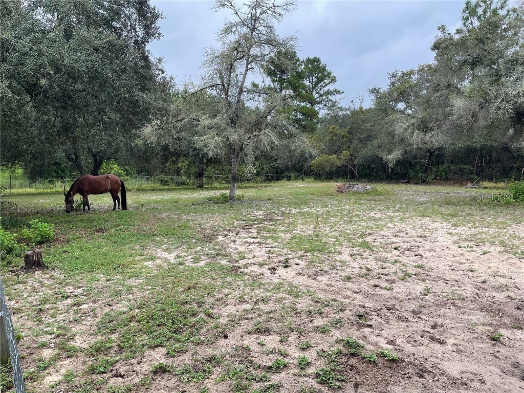 591 SE Fisher Road Ocklawaha FL 32179 OM709183 image22