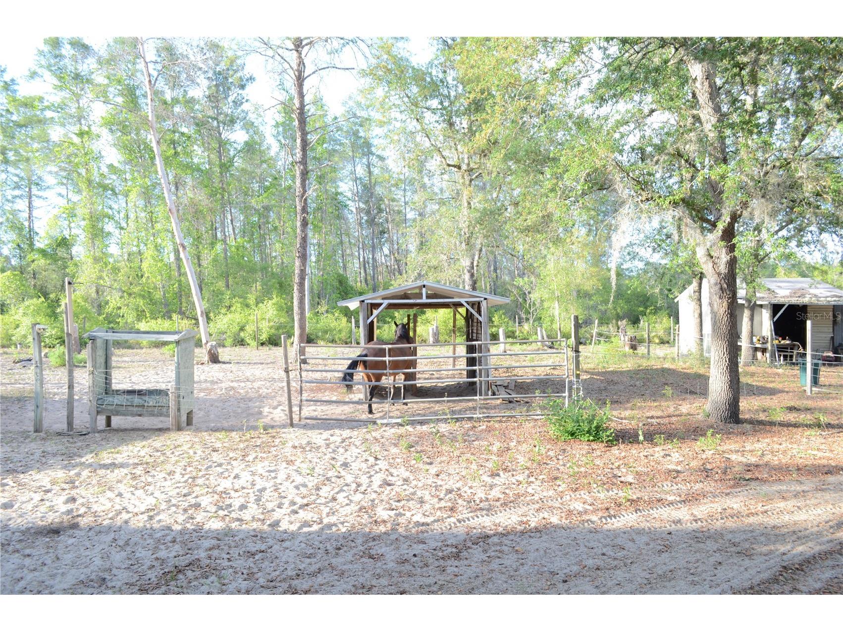 591 SE Fisher Road Ocklawaha FL 32179 - OCKLAWAHA RIVER OM722975 image10