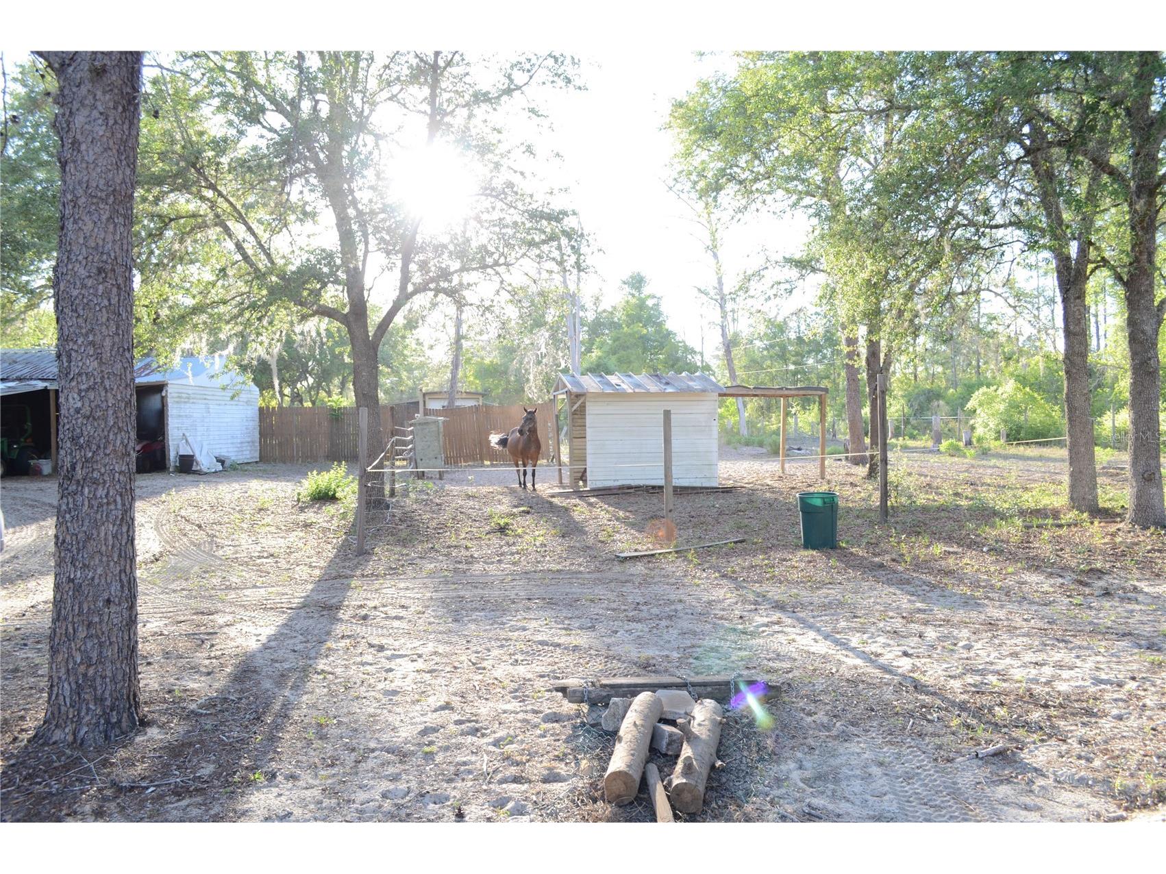 591 SE Fisher Road Ocklawaha FL 32179 - OCKLAWAHA RIVER OM722975 image12