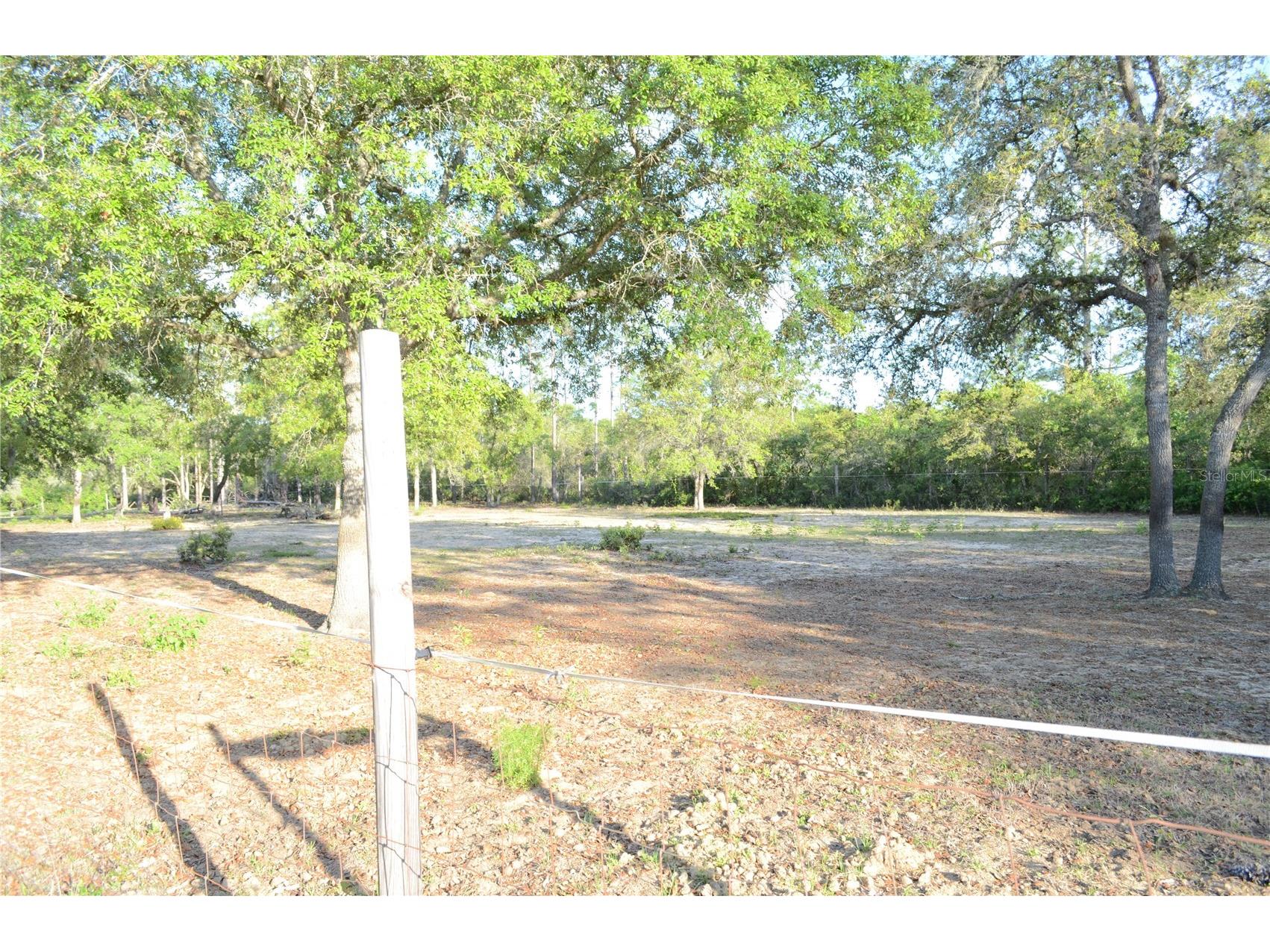 591 SE Fisher Road Ocklawaha FL 32179 - OCKLAWAHA RIVER OM722975 image13