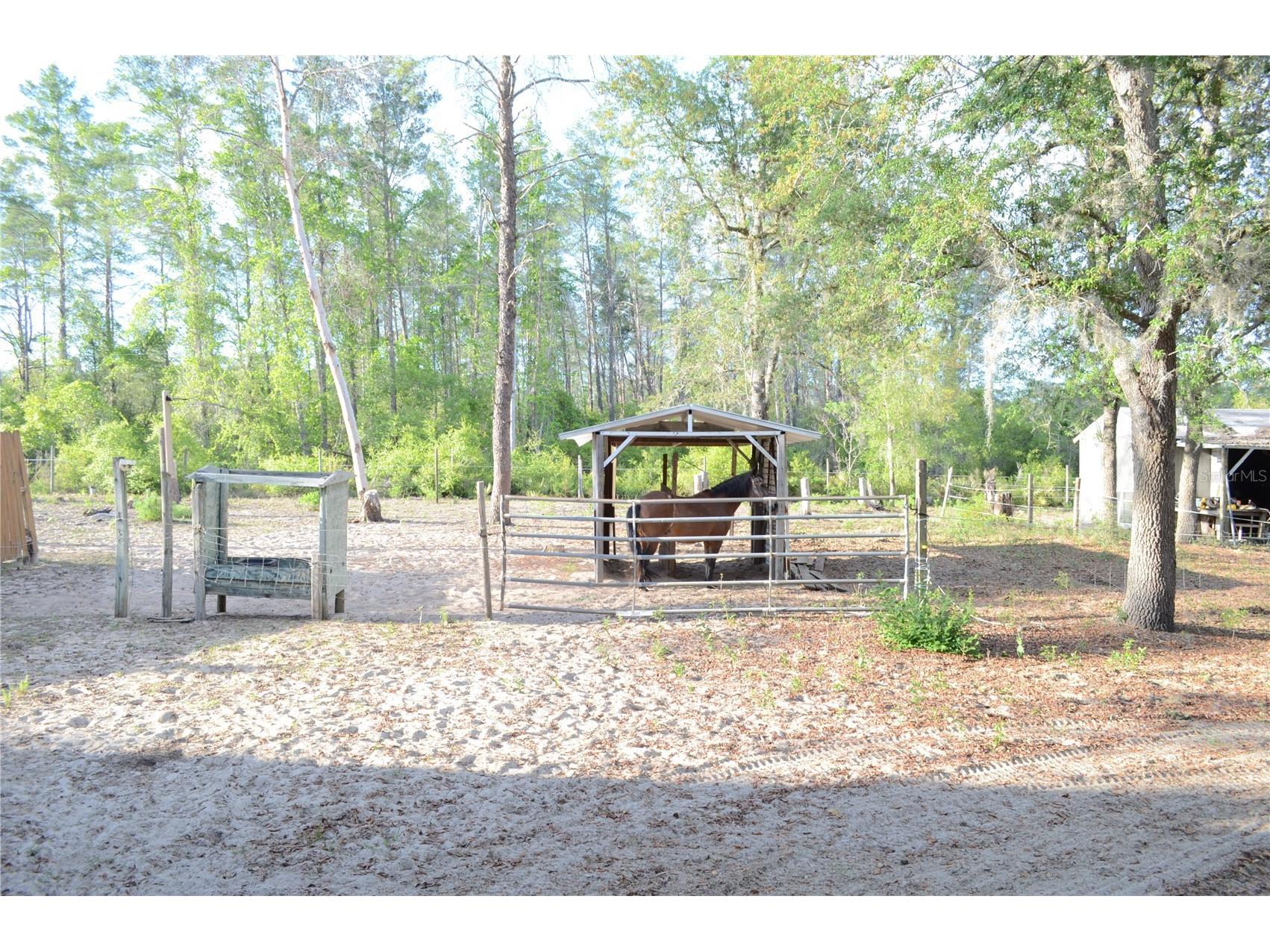 591 SE Fisher Road Ocklawaha FL 32179 - OCKLAWAHA RIVER OM722975 image9