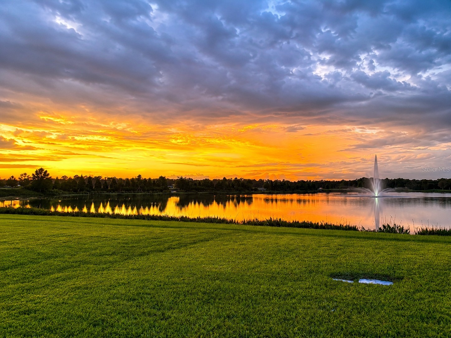 5910 164th Avenue E Parrish FL 34219 A4695170 image8