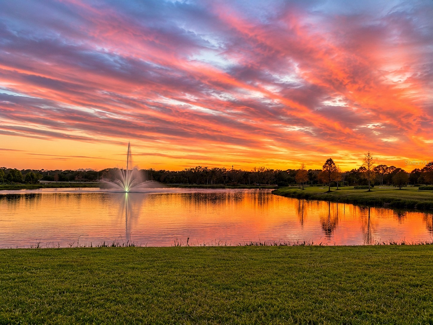 5910 164th Avenue E Parrish FL 34219 A4695170 image9