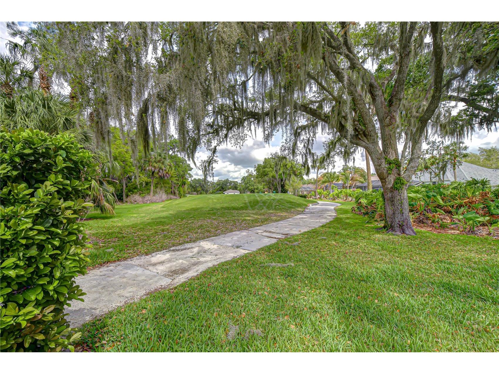 5910 Cherry Oak Drive Valrico FL 33596 TB8487288 image35